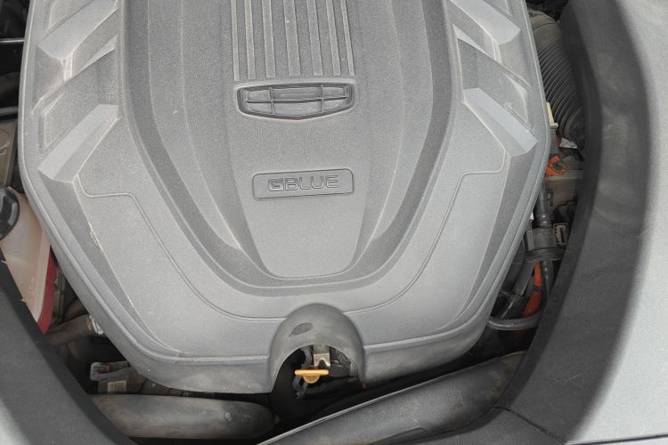 GEELY Tugella New Energy 2021 car image #22