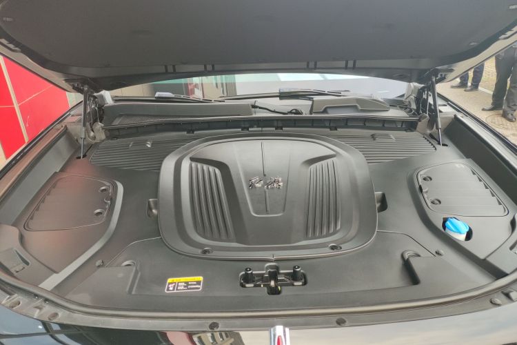 HongQi E-HS9 2022 #22 HongQi E-HS9 2022 car image #22