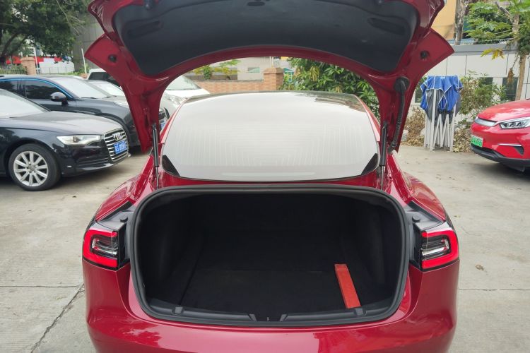 特斯拉 Model 3(进口) 2019 汽车图片 #22