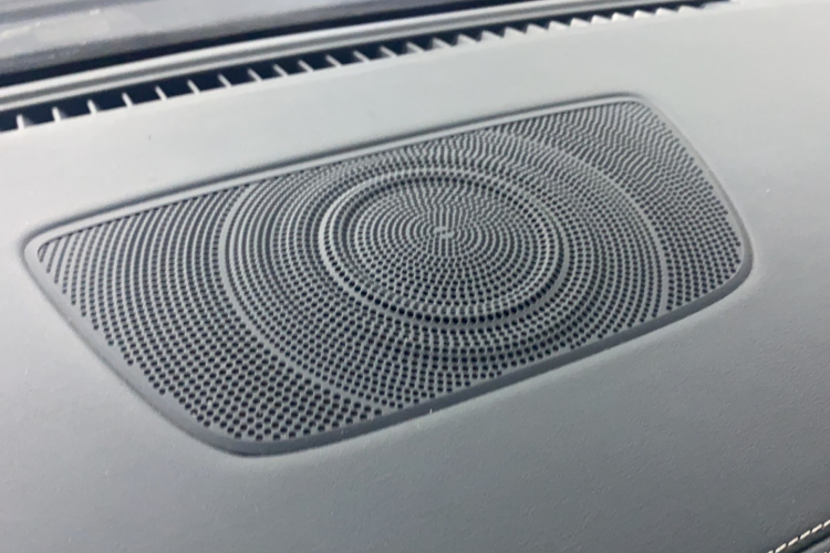 BYD e9 2021 car image #22