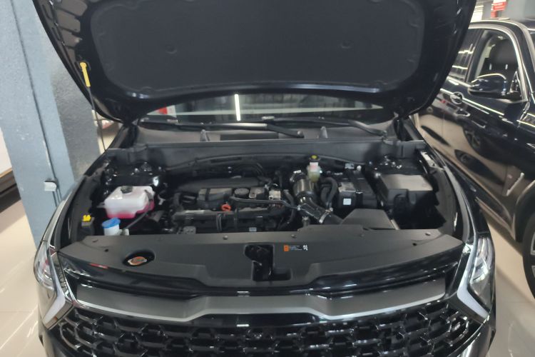 起亚 狮铂拓界 2025 汽车图片 #22