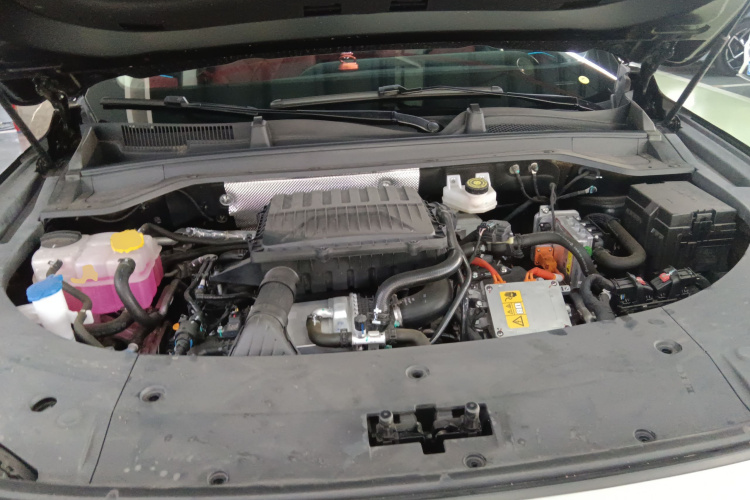 Exceed Yaoguang C-DM 2025 #22 Exceed Yaoguang C-DM 2025 car image #22