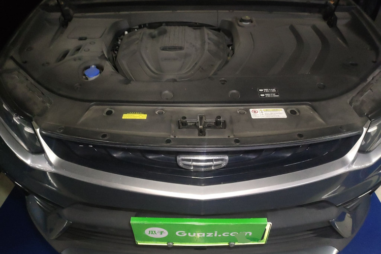 GEELY Tugella New Energy 2020 car image #22