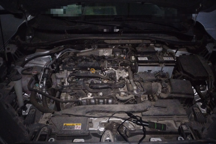 Toyota Frontlander 2022 #22 Toyota Frontlander 2022 imagen de coche #22