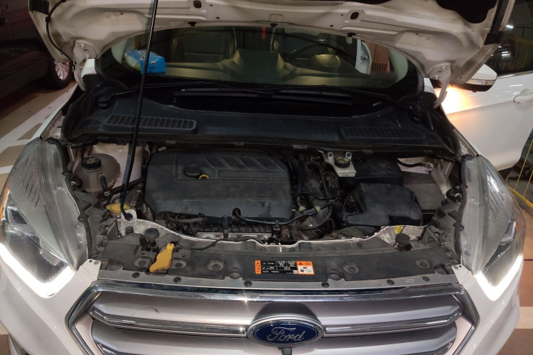 Ford Kuga 2017 car image #22