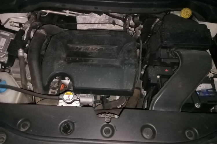 Haval H2s 2018 #22 Haval H2s 2018 car image #22