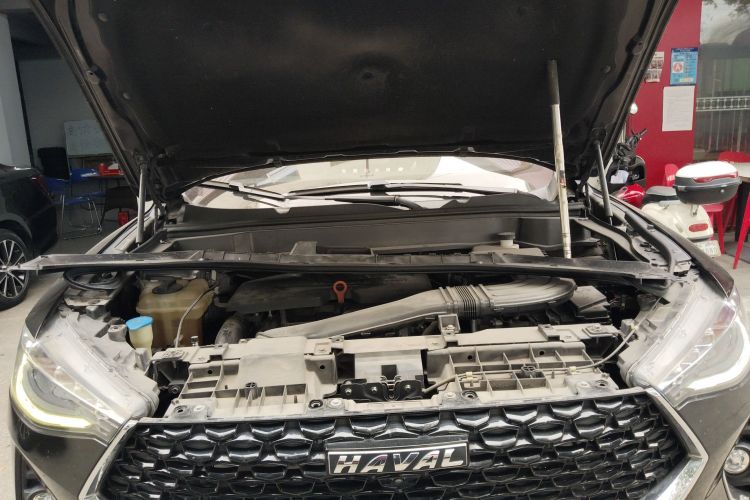 Haval F7x 2020 car image #22