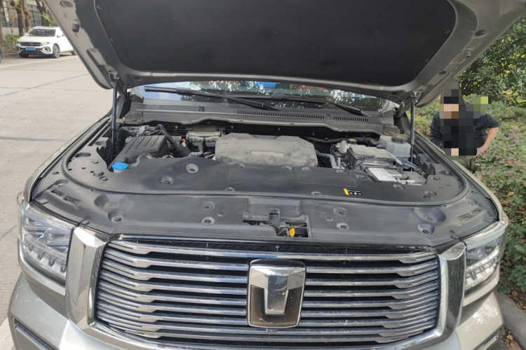 Tank 500 2023 car image #22