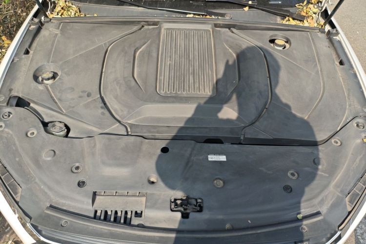 BYD Qin Pro New Energy 2019 #22 BYD Qin Pro New Energy 2019 car image #22