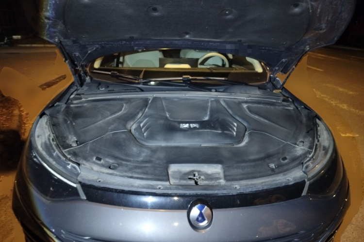 Denza N8 2023 #22 Denza N8 2023 car image #22