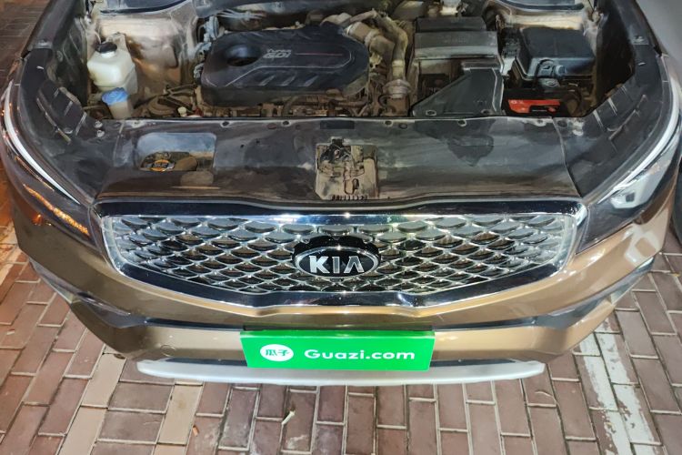 起亚 起亚KX7 2017 汽车图片 #22