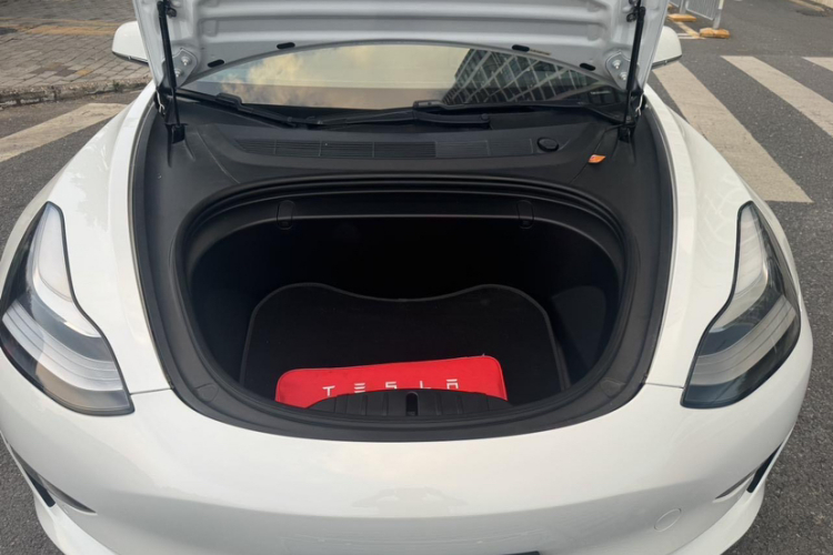 特斯拉 Model 3(进口) 2019 汽车图片 #22