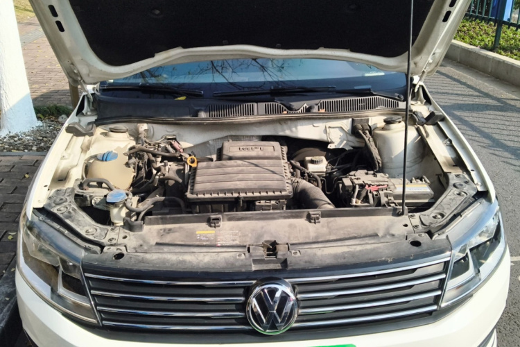 Volkswagen Gran Lavida 2017 car image #22