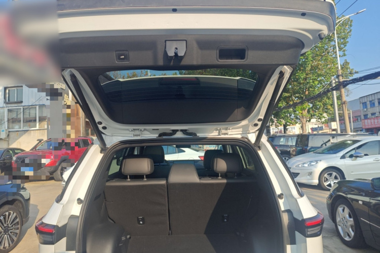 Toyota Bozhi 3X 2025 car image #22