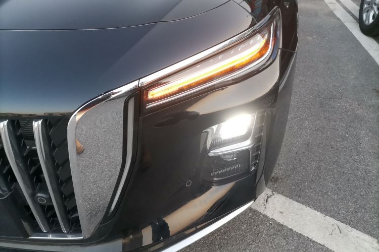 HongQi H5 PHEV 2025 #22 HongQi H5 PHEV 2025 car image #22