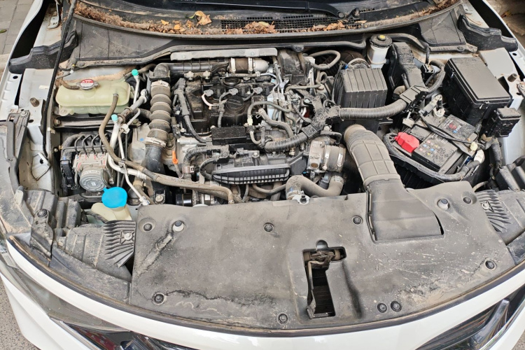 Honda Envix 2020 car image #22