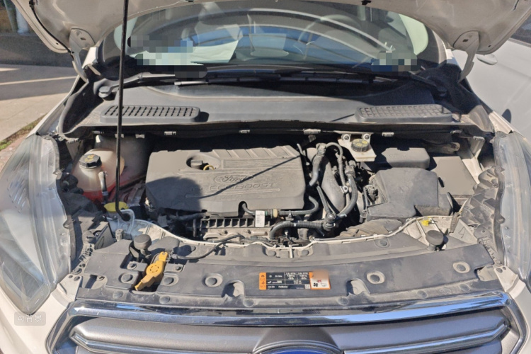 Ford Kuga 2019 #22 Ford Kuga 2019 car image #22