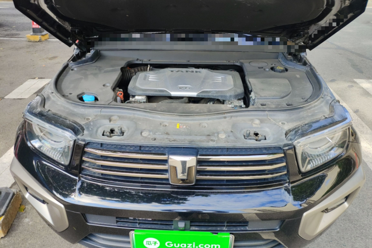 Tank 700 New Energy 2024 image de voiture #22