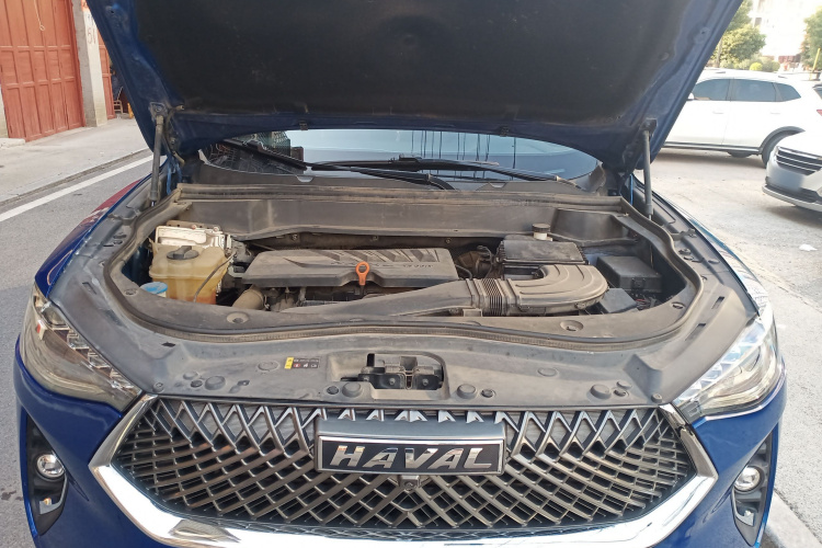 Haval F7 2020 car image #22