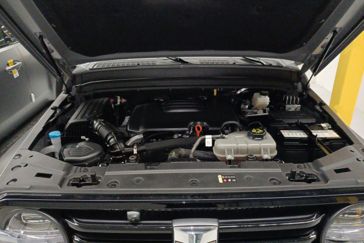 Tank 300 2023 imagen de coche #22