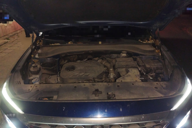 Hyundai Santa Fe 2021 car image #22
