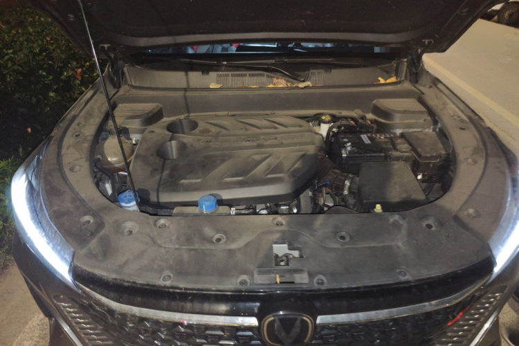 Changan X5 PLUS 2024 #22 Changan X5 PLUS 2024 car image #22