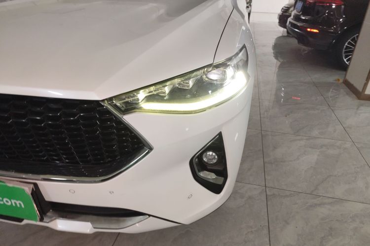 Haval F7 2019 image de voiture #22