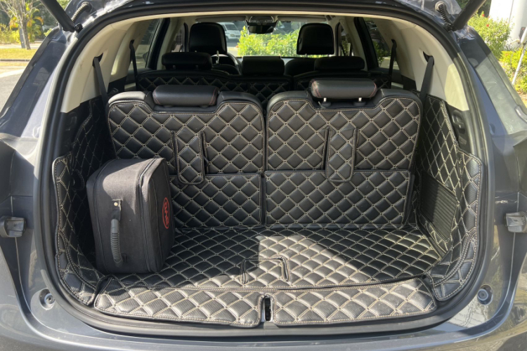 BYD Tang New Energy 2019 car image #22