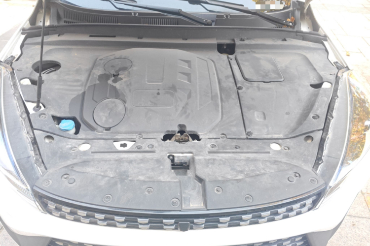 Showjet Pro 2021 imagen de coche #22