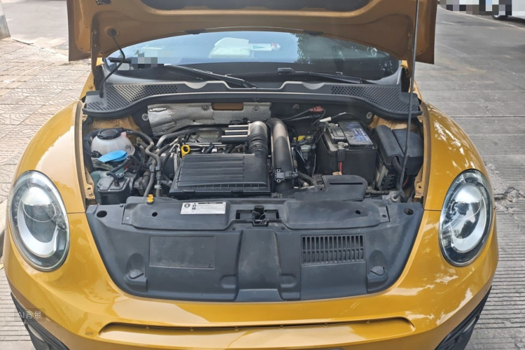 Volkswagen Beetle 2018 car image #22
