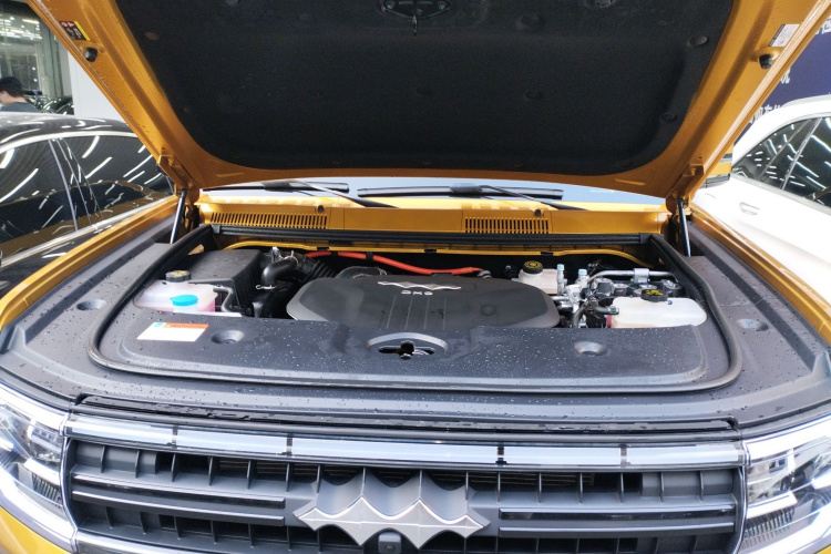 FangChengBao Leopard 5 2023 car image #22