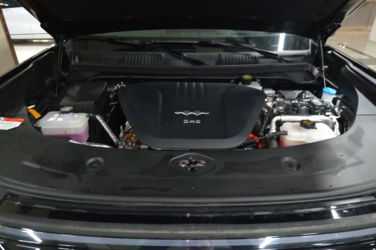 FangChengBao Leopard 8 2024 car image #22