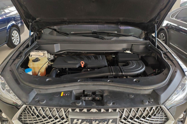 Haval F7x 2021 car image #22