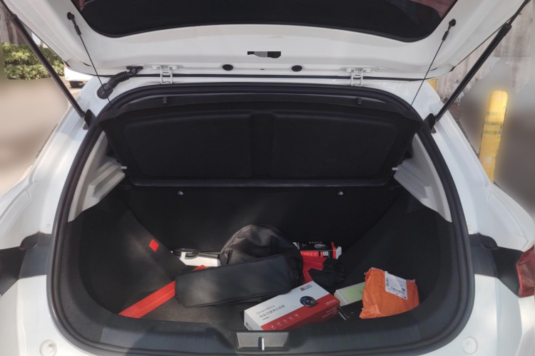 BYD e2 2020 #22 BYD e2 2020 imagen de coche #22