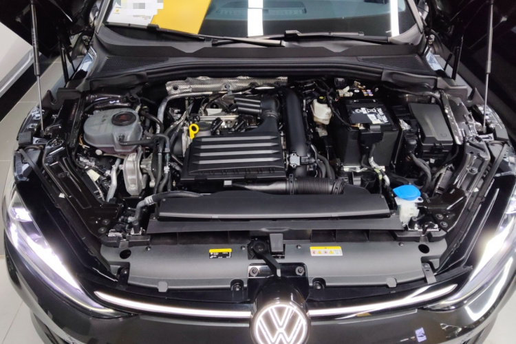 Volkswagen Lamando 2024 imagem de carro #22