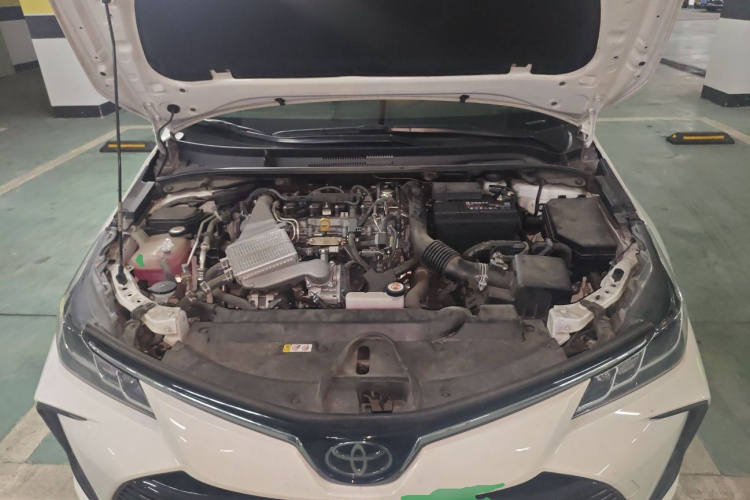 卡罗拉 2020 汽车图片 #22