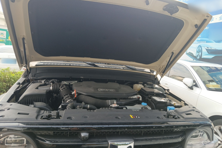 Tank 300 New Energy 2025 car image #22