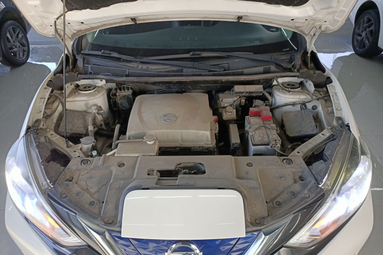 日产 轩逸·纯电 2019 汽车图片 #22