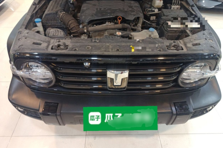 Tank 300 2022 car image #22