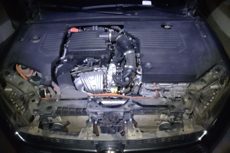 BYD Qin Pro New Energy 2020 immagine di auto #22