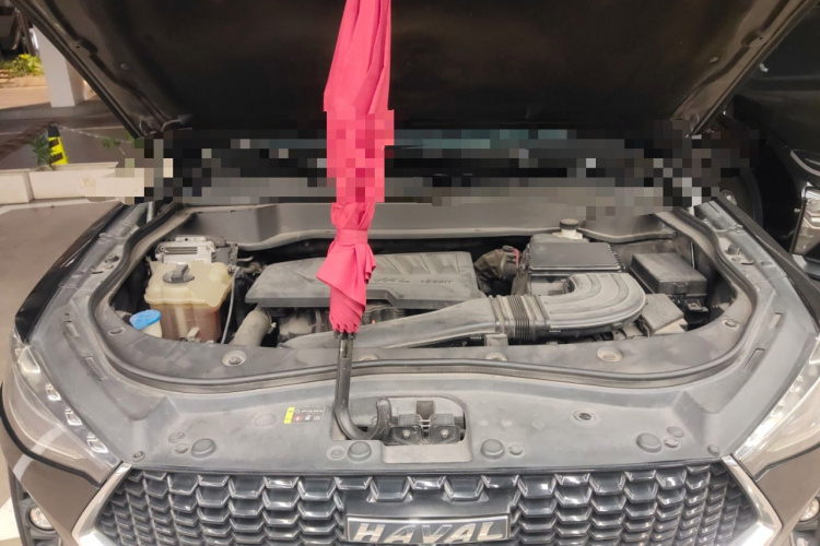 Haval F7 2019 #22 Haval F7 2019 image de voiture #22