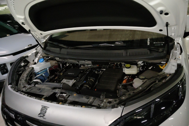 BYD Xia 2024 #22 BYD Xia 2024 immagine di auto #22