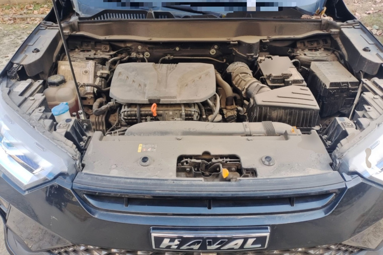 Haval H6S 2022 car image #22