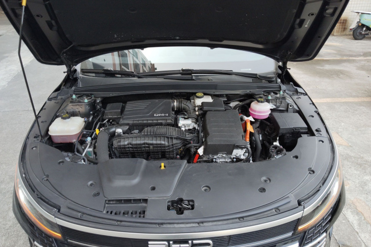 BYD Destroyer 05 2024 car image #22