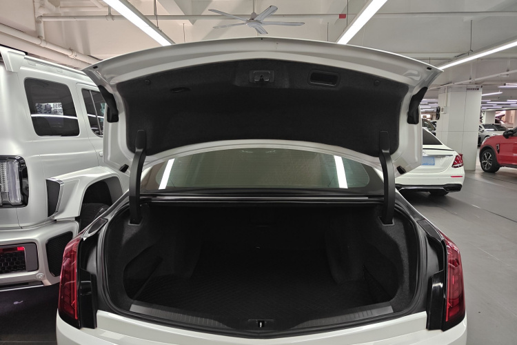 2019 #22 2019 car image #22