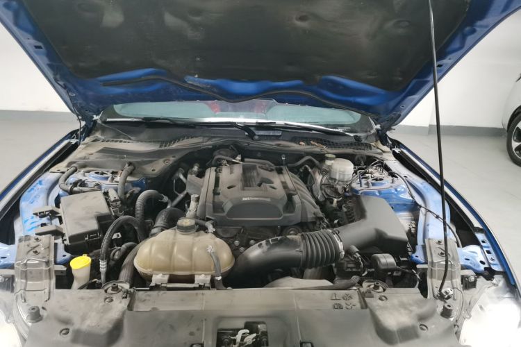 Ford 2019 car image #22