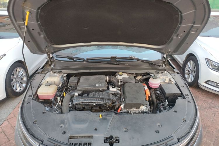 BYD Destroyer 05 2023 car image #22