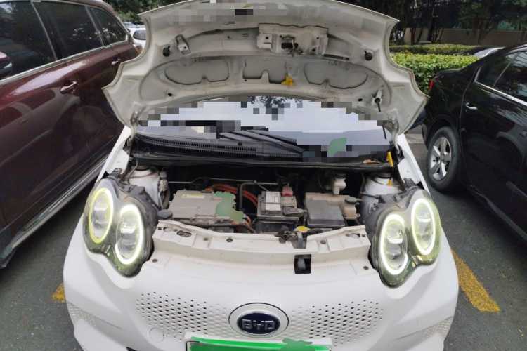 BYD e1 2019 #22 BYD e1 2019 car image #22