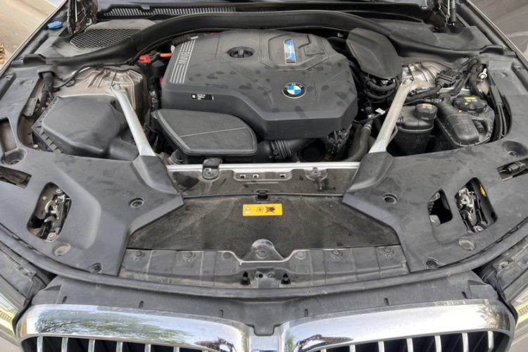 BMW 5 Series New Energy 2020 car image #22