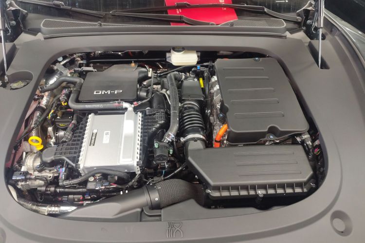 BYD HanL 2025 car image #22